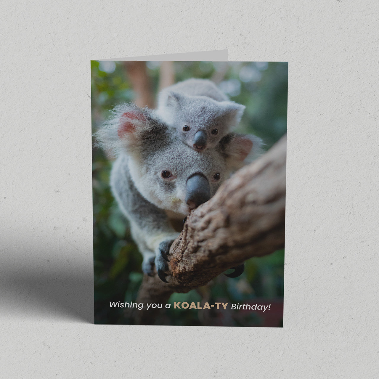 Koala-ty Birthday Greeting Card