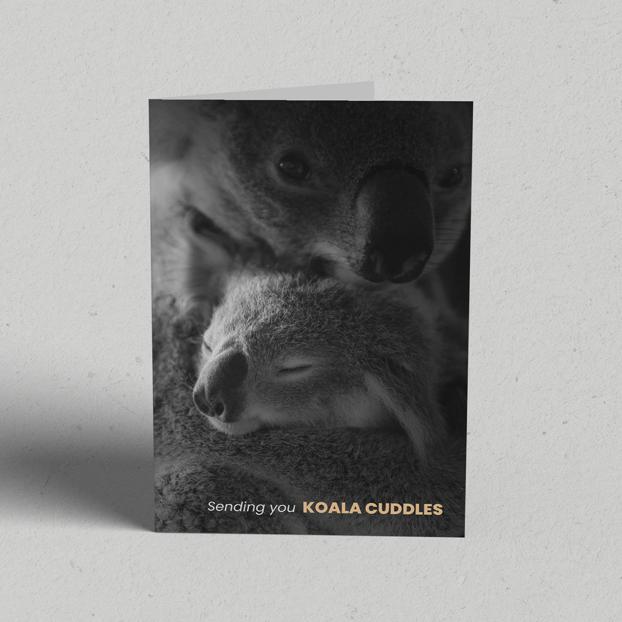 Koala Cuddles Greeting Card