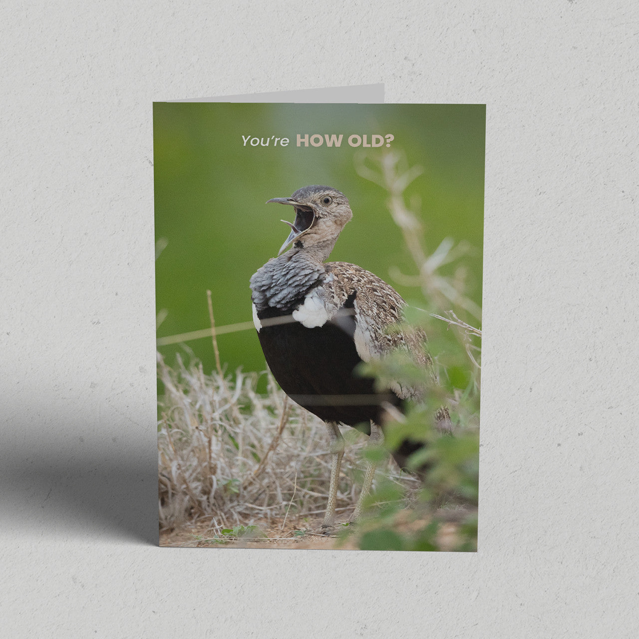 You're How Old? Greeting Card
