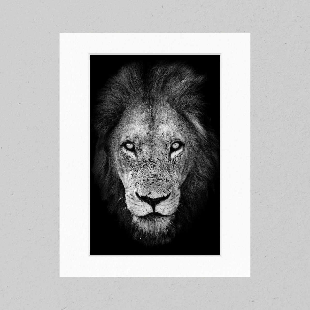 Lion 02GP Matte Print