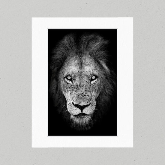 Lion 02GP Matte Print