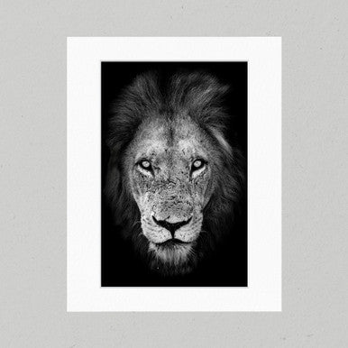 Lion 02GP Matte Print