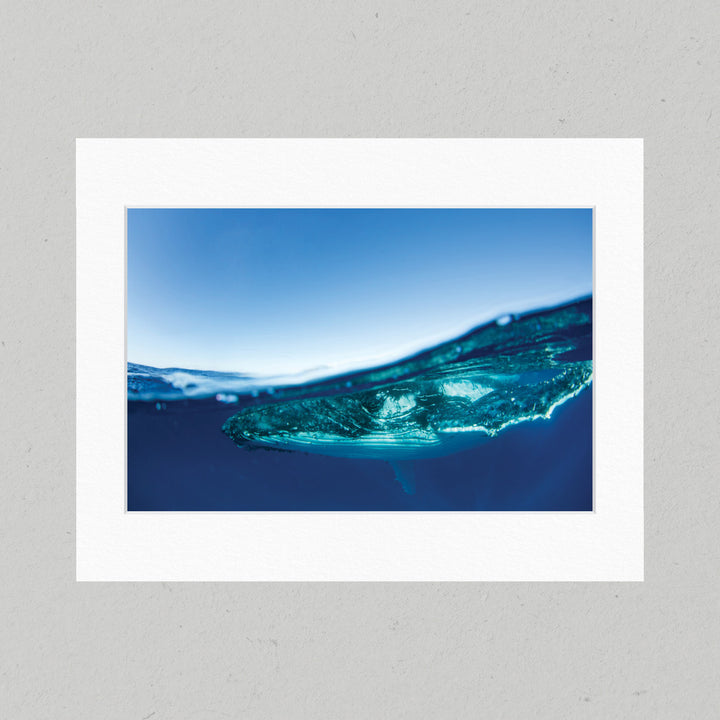 56 Under the Surface Matte Print
