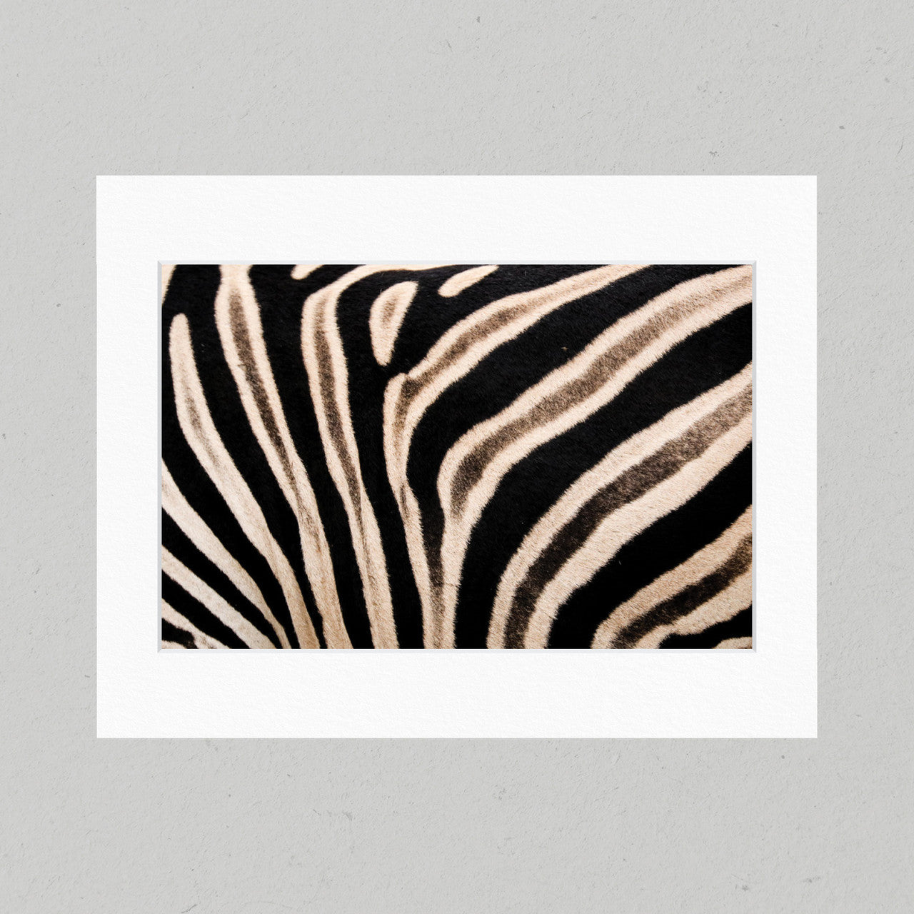 06 Zebra Matte Print
