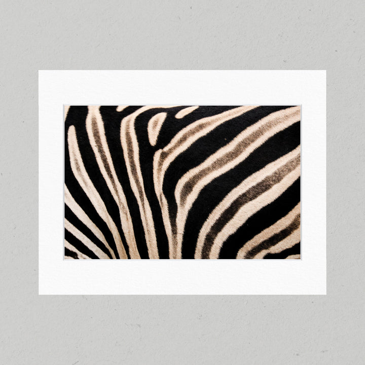 06 Zebra Matte Print