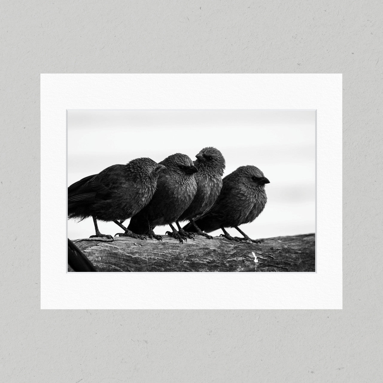 46 Birds of a Feather Matte Print