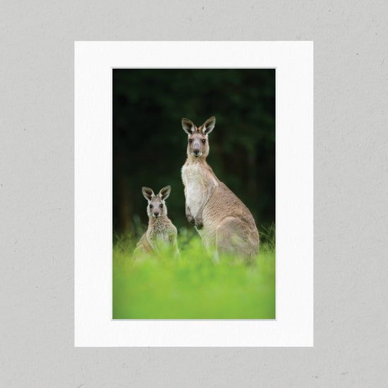 Kangaroos 06GP Matte Print