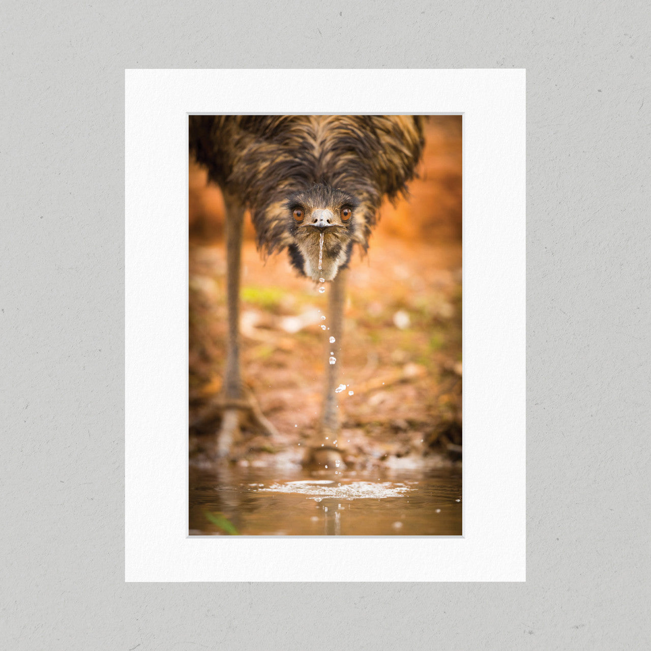 Thirsty Emu 12GP Matte Print