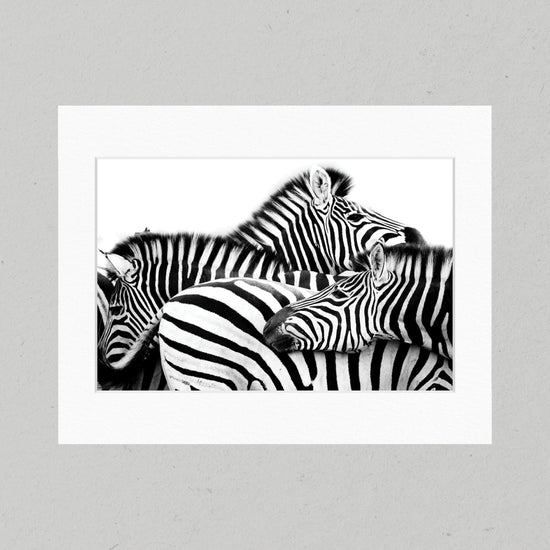 Layered Stripes 26GL Matte Print
