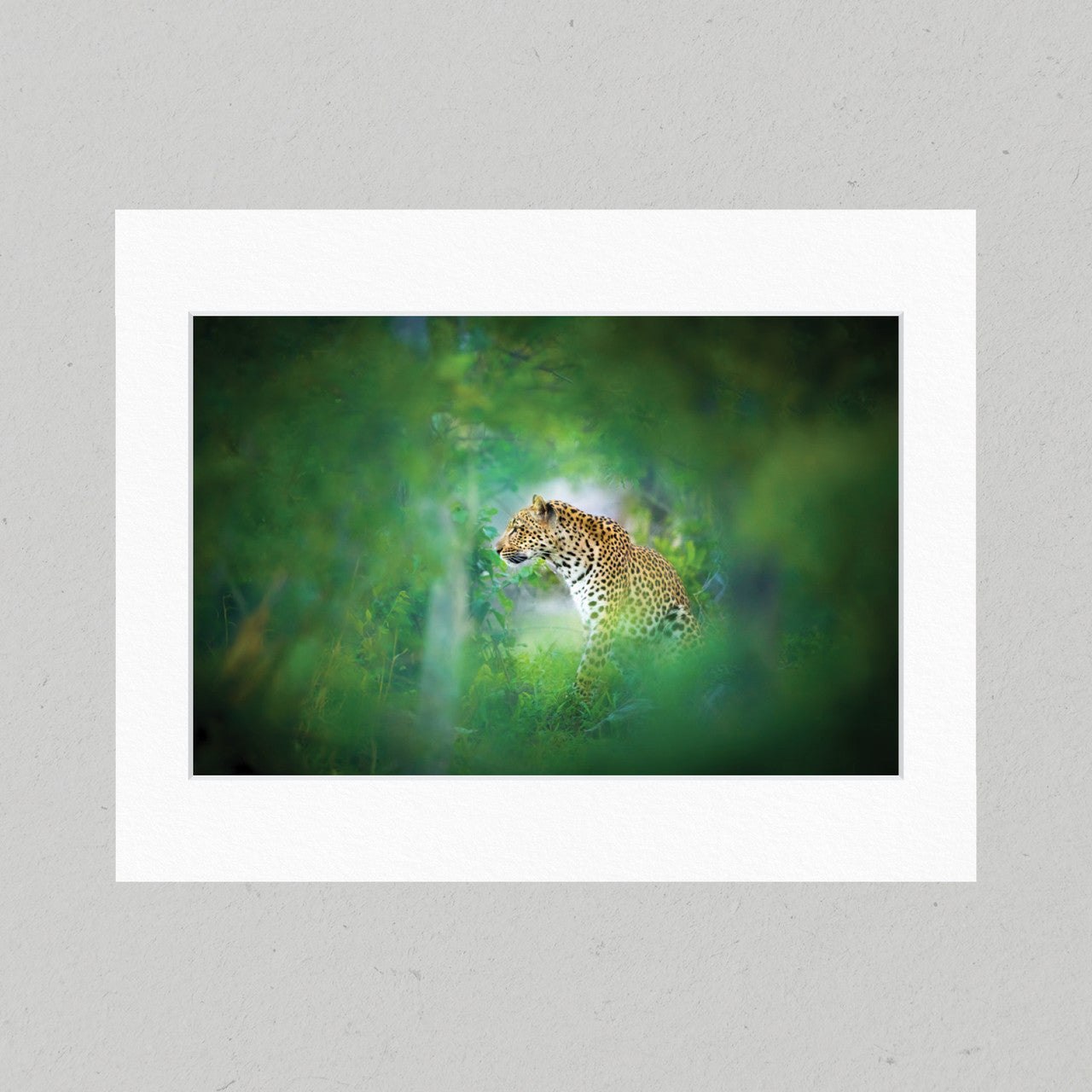 03 Hidden Leopard Matte Print