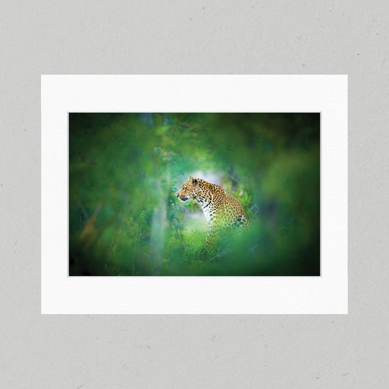 03 Hidden Leopard Matte Print