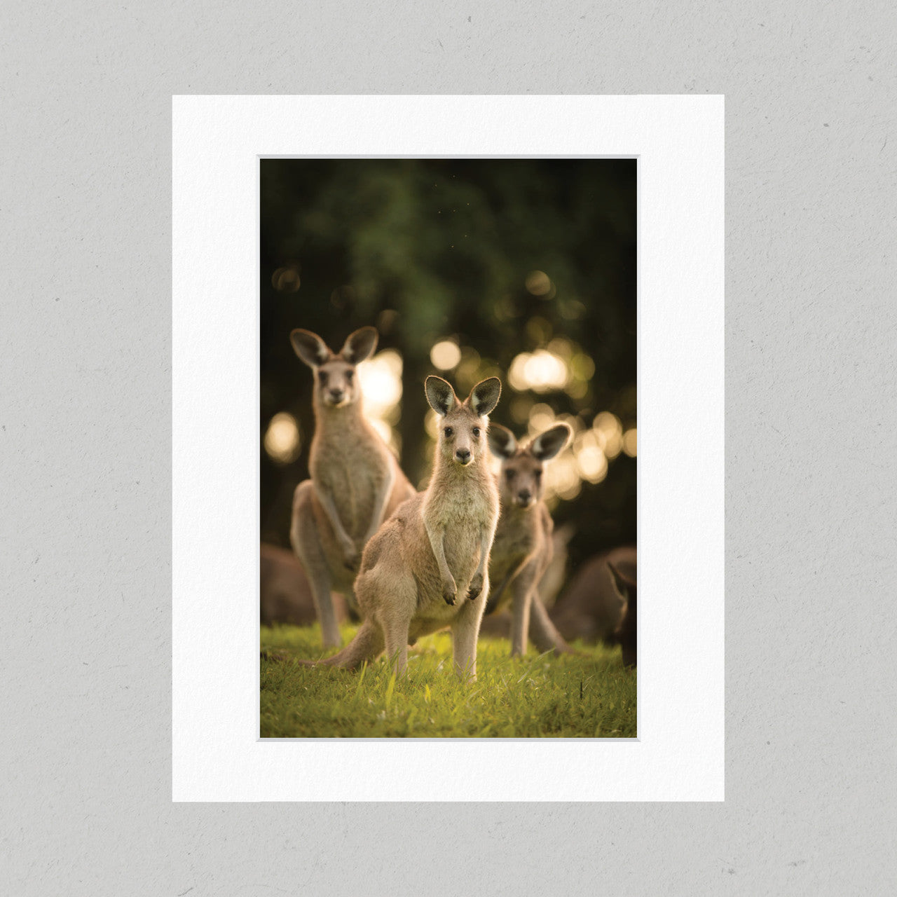 Trio of Roos 07GP Matte Print
