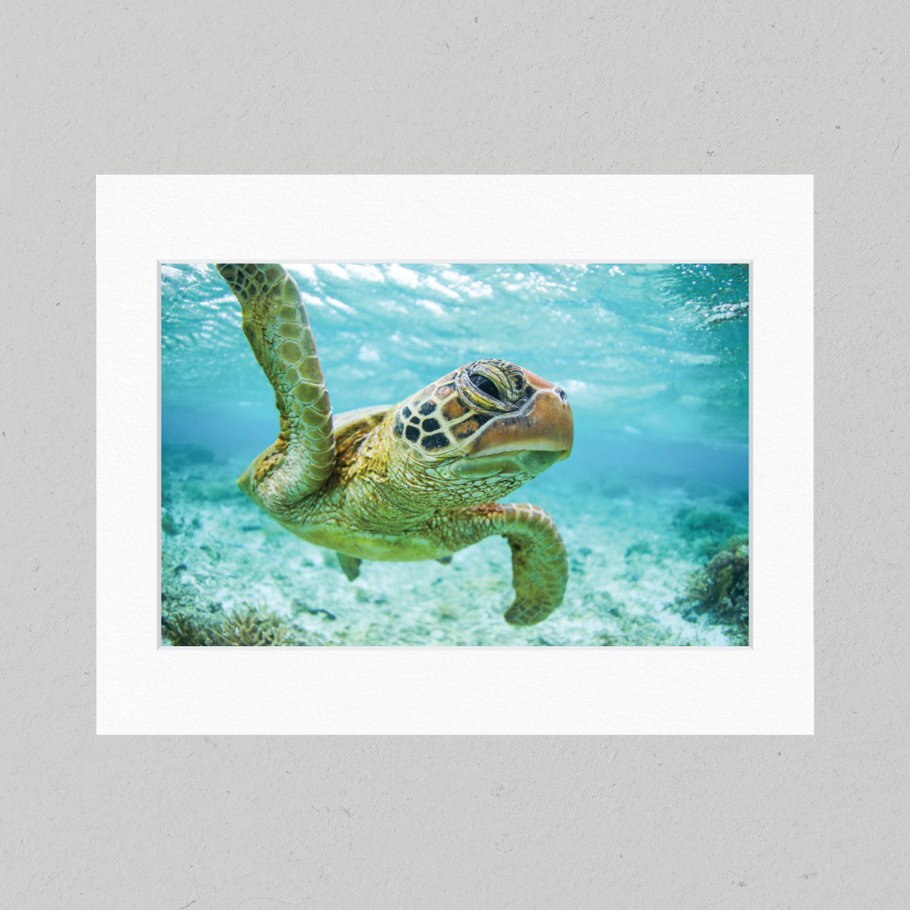 Close Encounter 42GL Matte Print