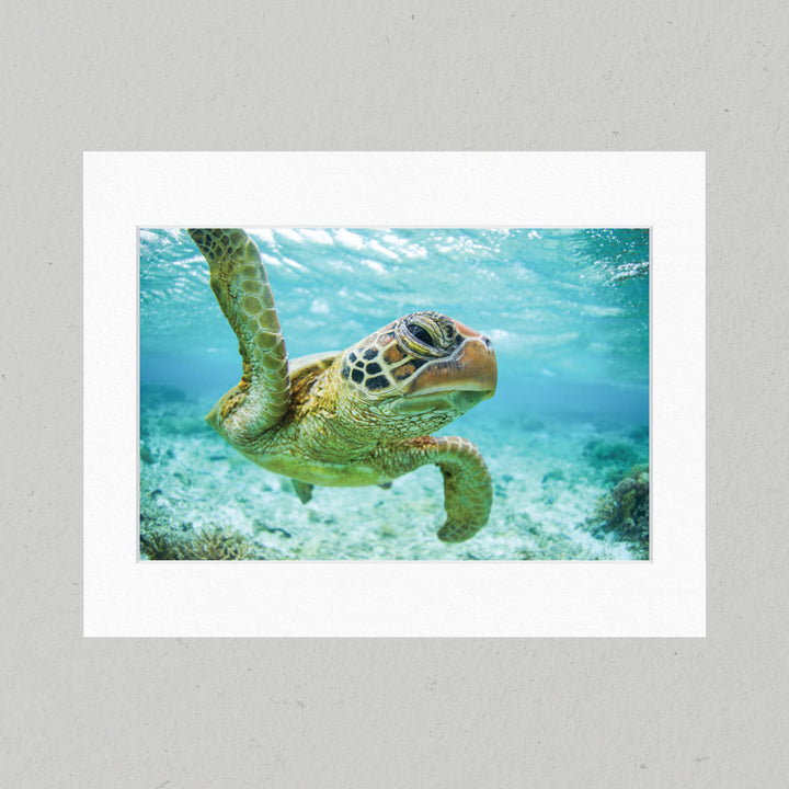 Close Encounter 42GL Matte Print
