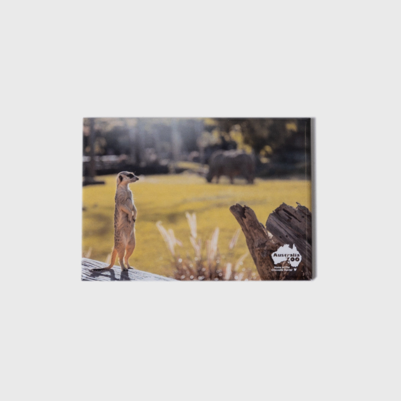 Meerkat Large Landscape Magnet