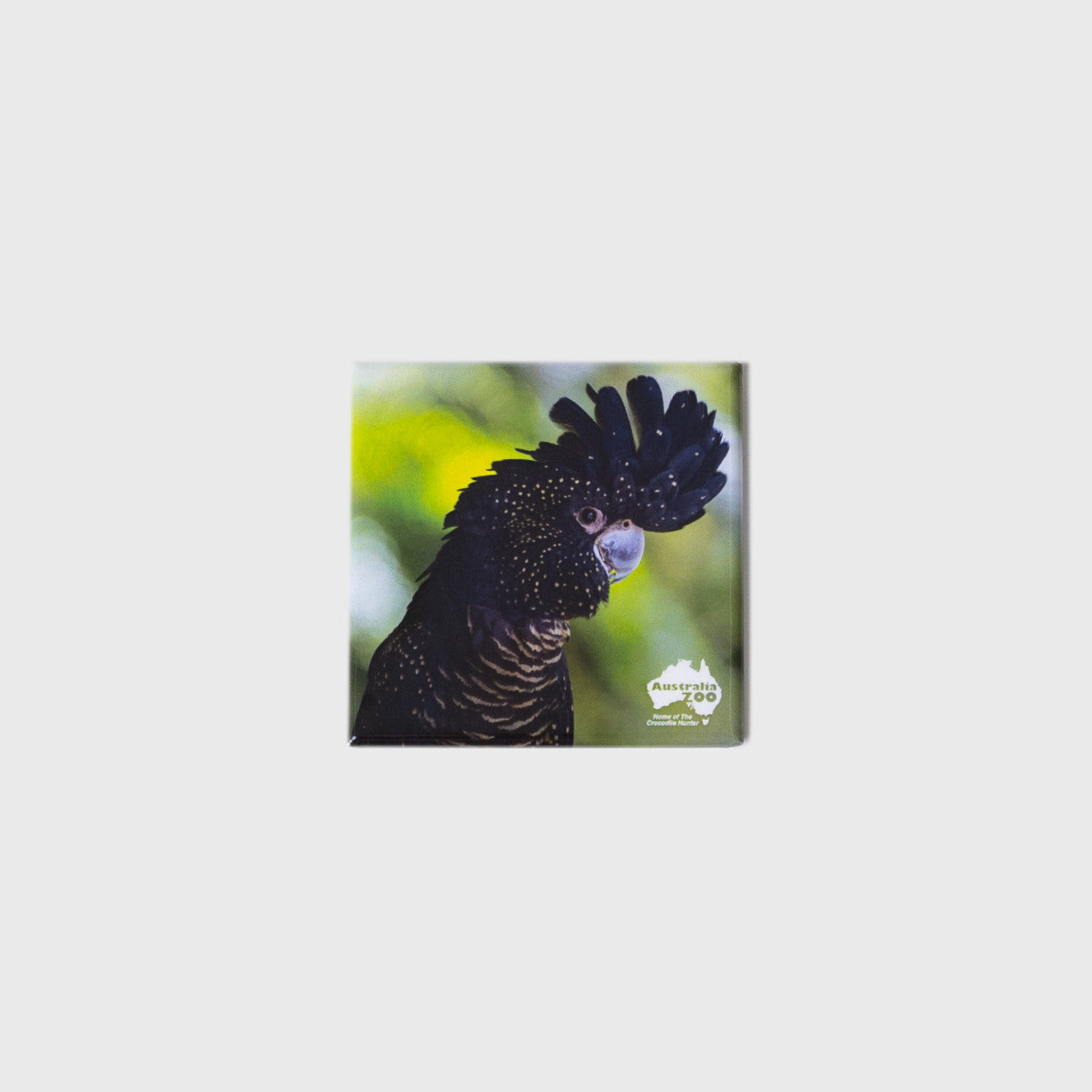 Black Cockatoo Square Magnet