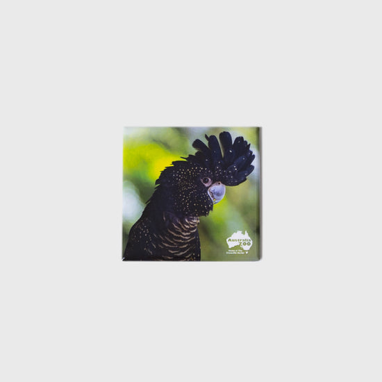 Black Cockatoo Square Magnet