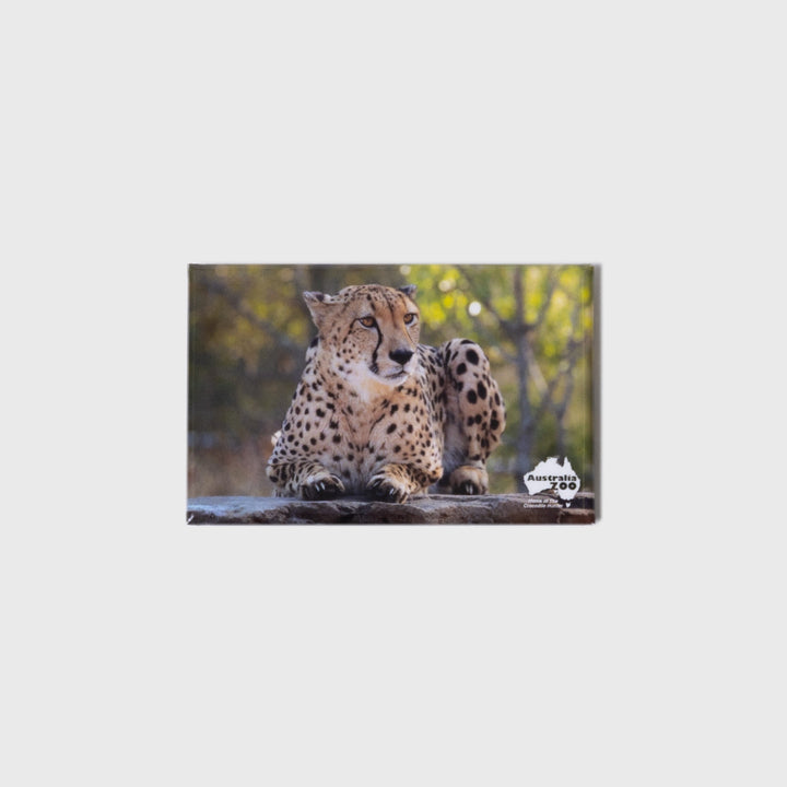 Cheetah Small Landscape Magnet