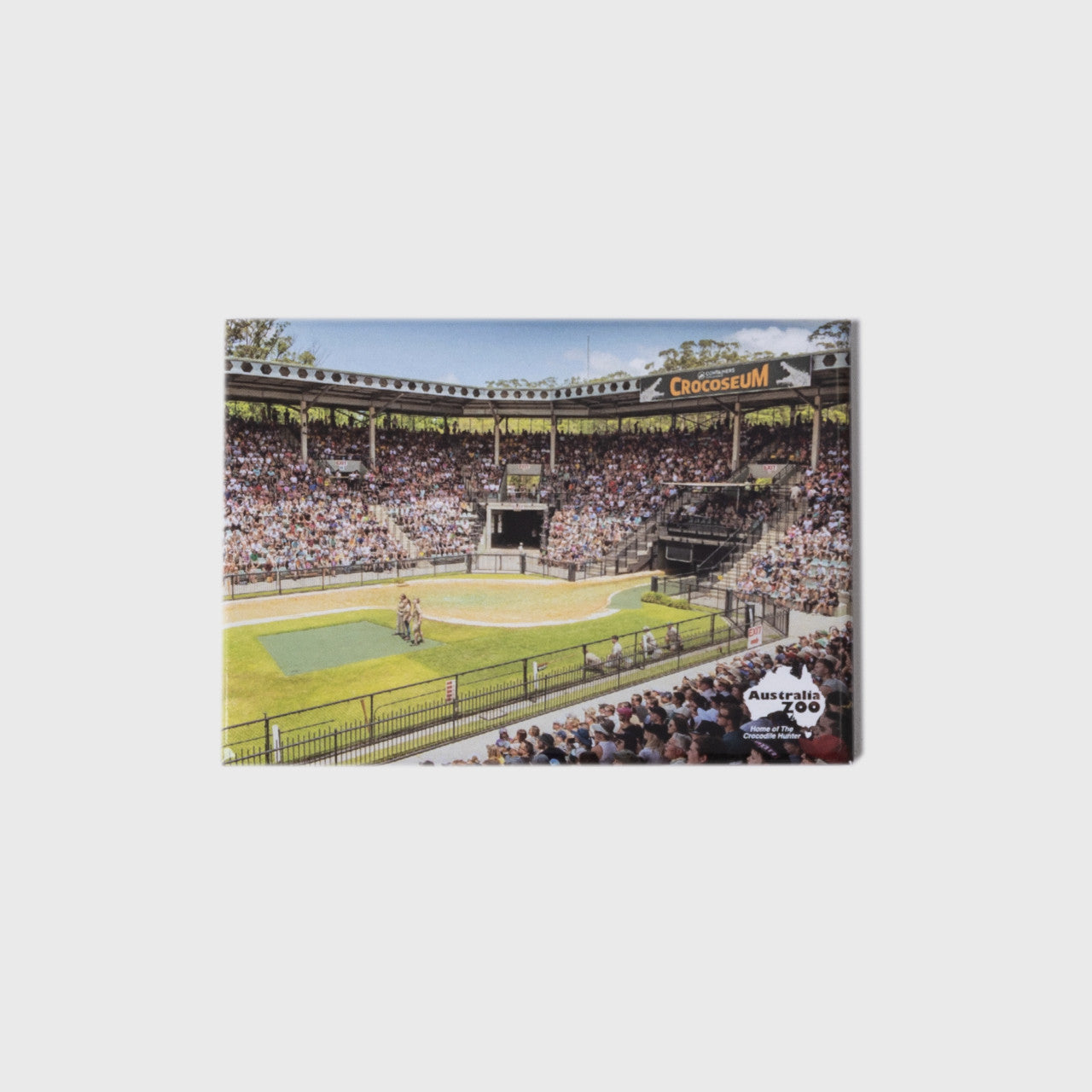 Crocoseum Large Landscape Magnet