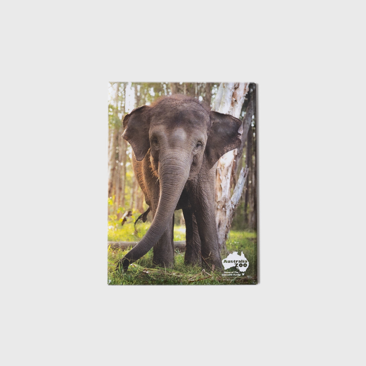 Elephant Large Portrait Magnet