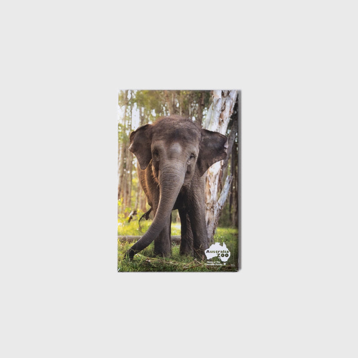Elephant Small Portrait Magnet
