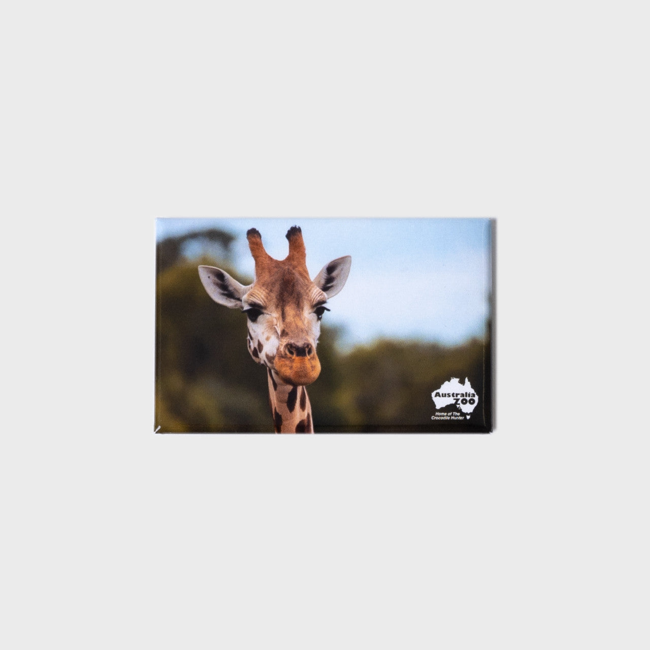 Giraffe Small Landscape Magnet