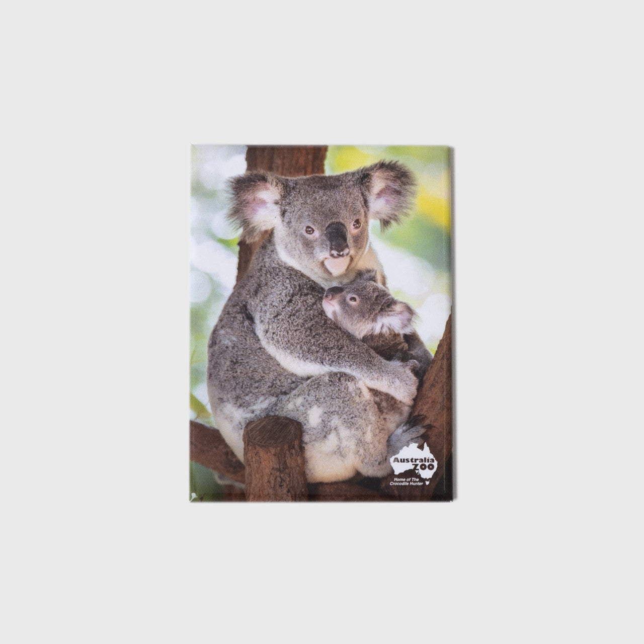 Koala With Joey Large Portrait Magnet