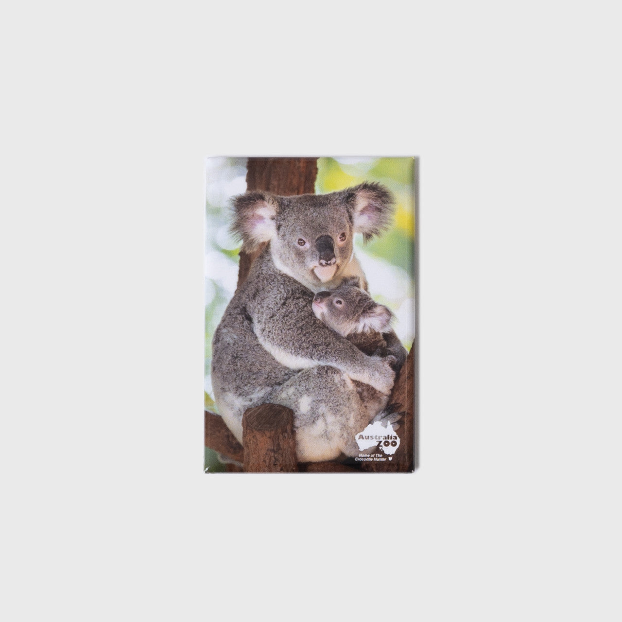 Koala With Joey Small Portrait Magnet