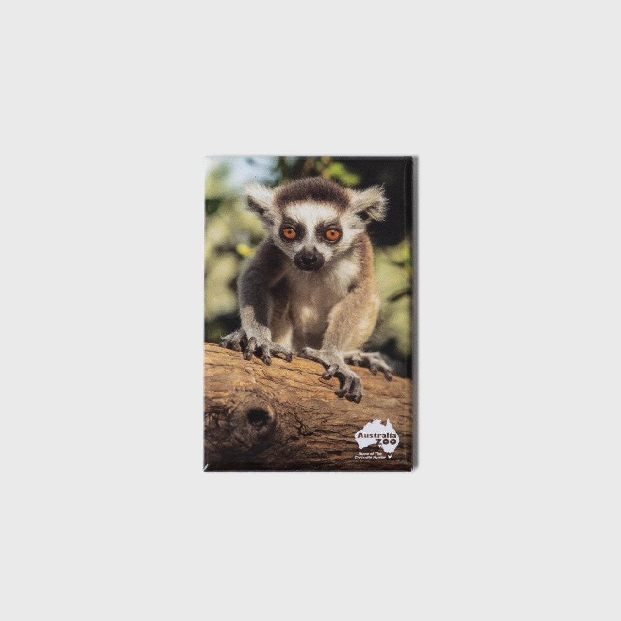 Ring-tailed Lemur Small Portrait Magnet