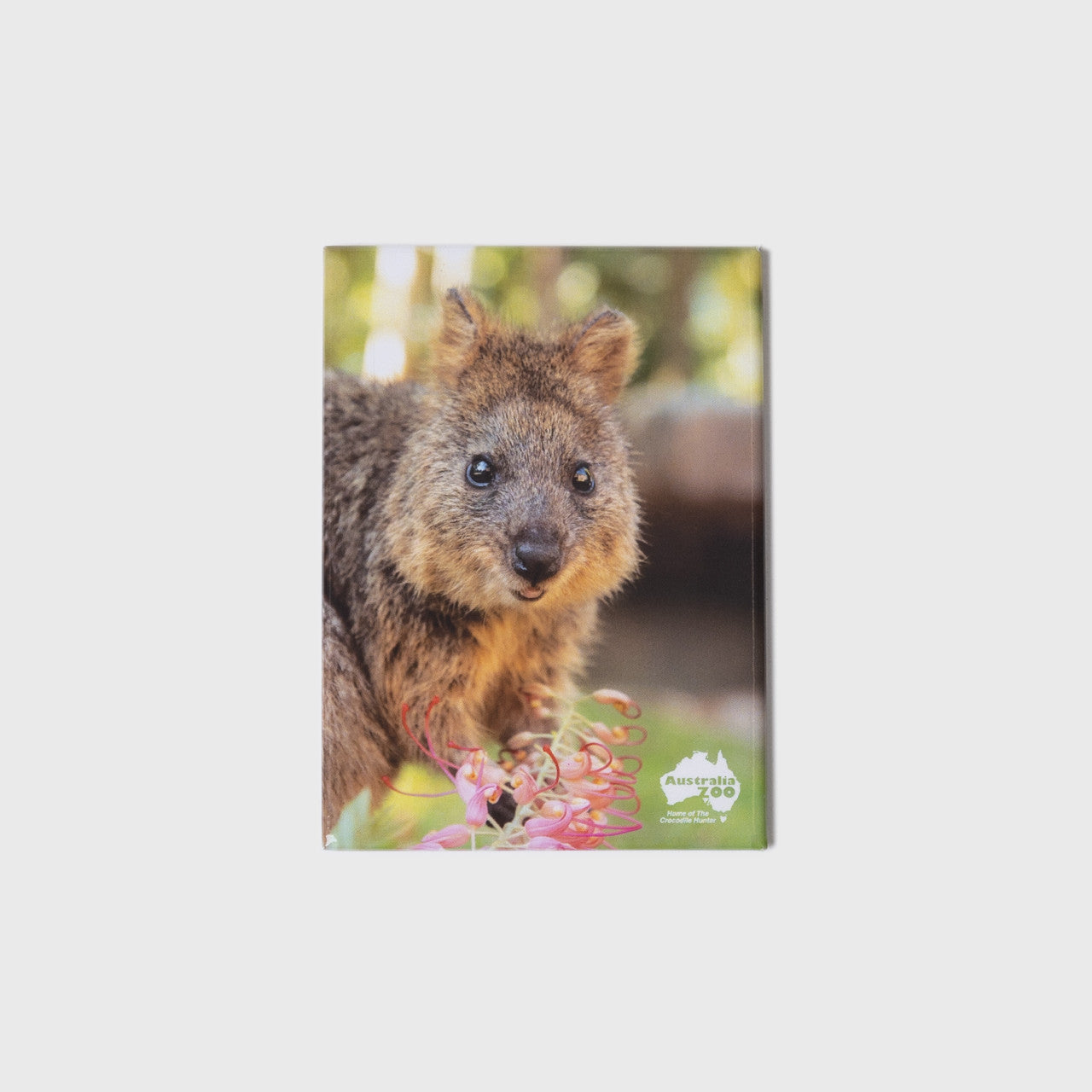 Quokka Large Portrait Magnet