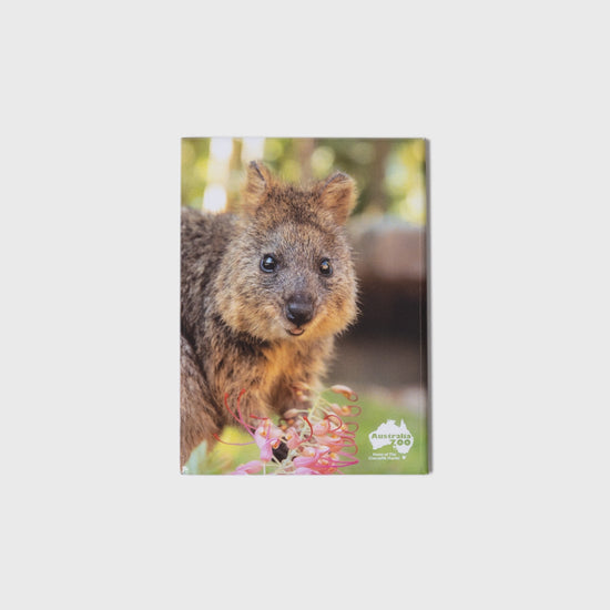 Quokka Large Portrait Magnet