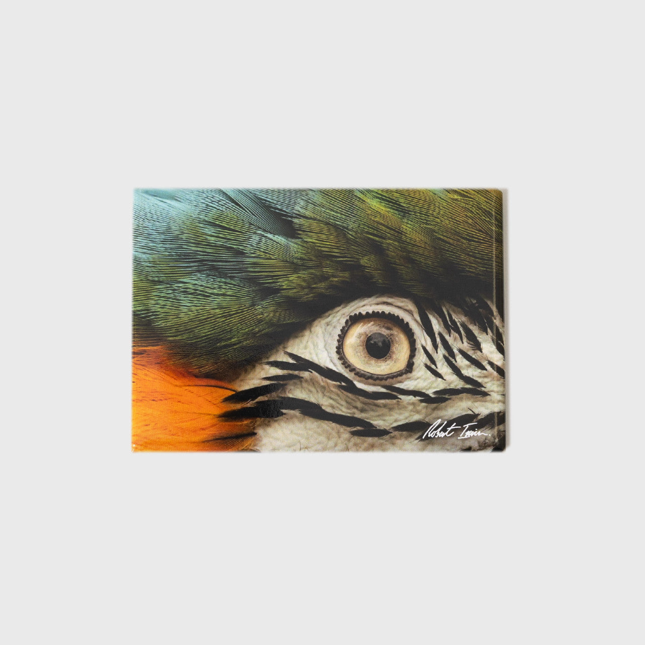 Macaw Eye Large Landscape Magnet