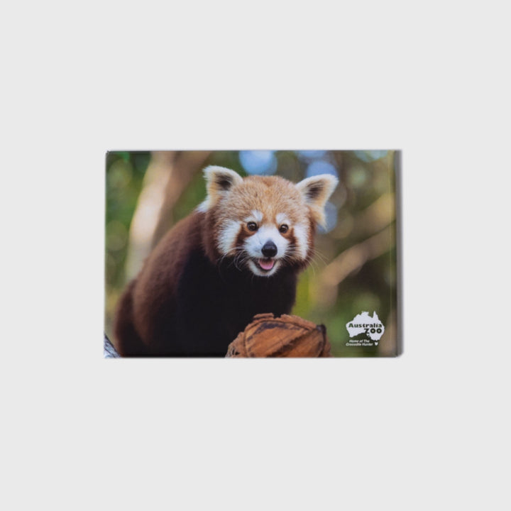 Red Panda Large Landscape Magnet