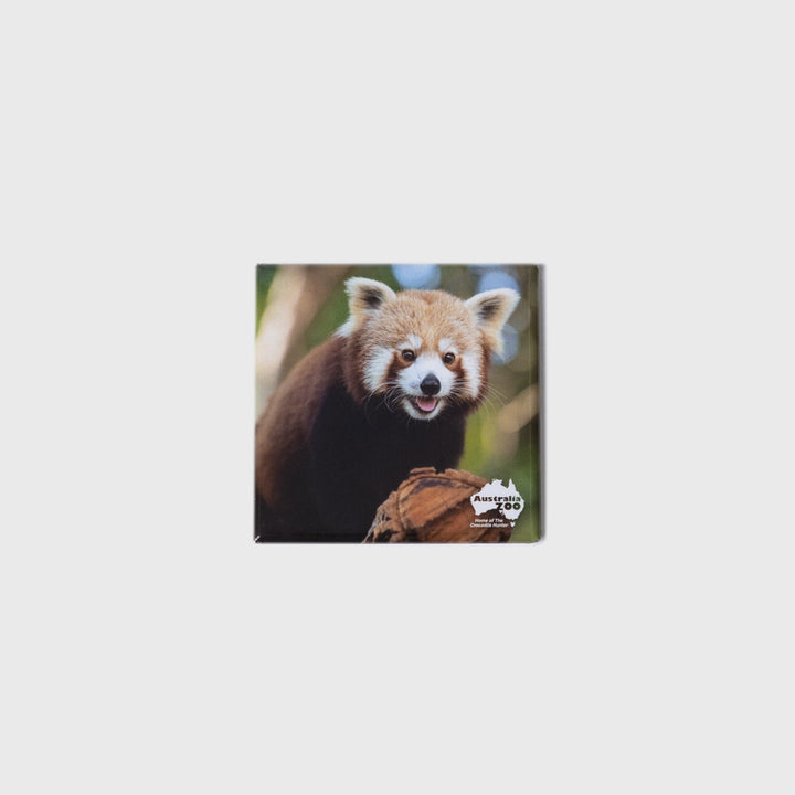 Red Panda Square Magnet