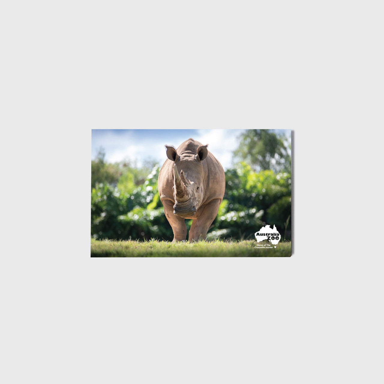 Rhino Small Landscape Magnet