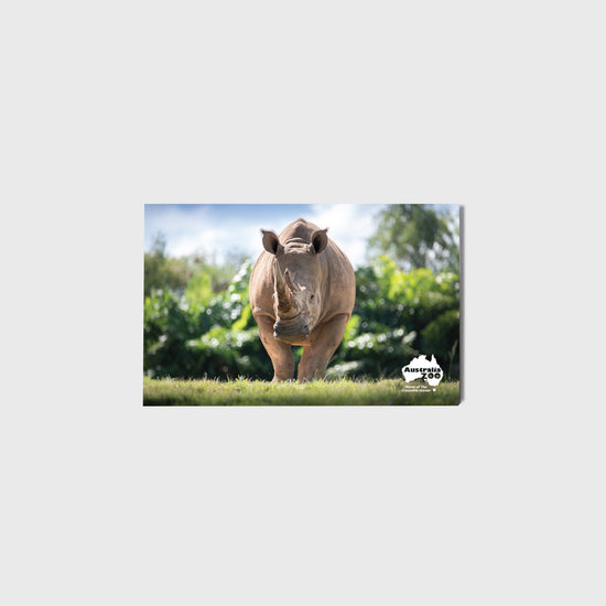 Rhino Small Landscape Magnet