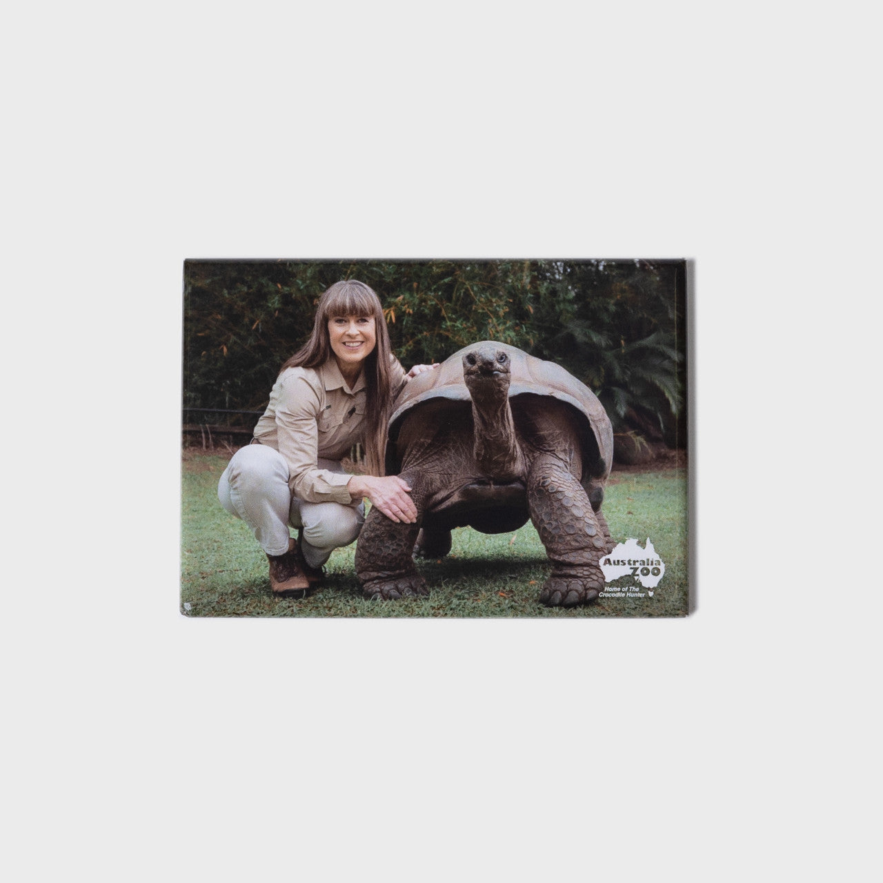 Terri And Tortoise Large Landscape Magnet