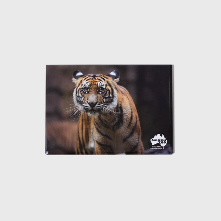 Tiger Large Landscape Magnet