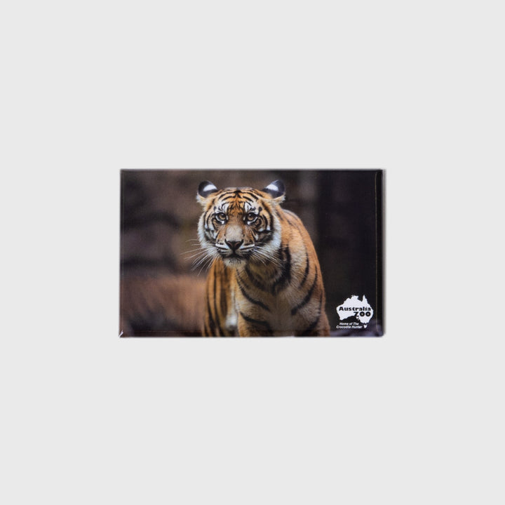 Tiger Small Landscape Magnet