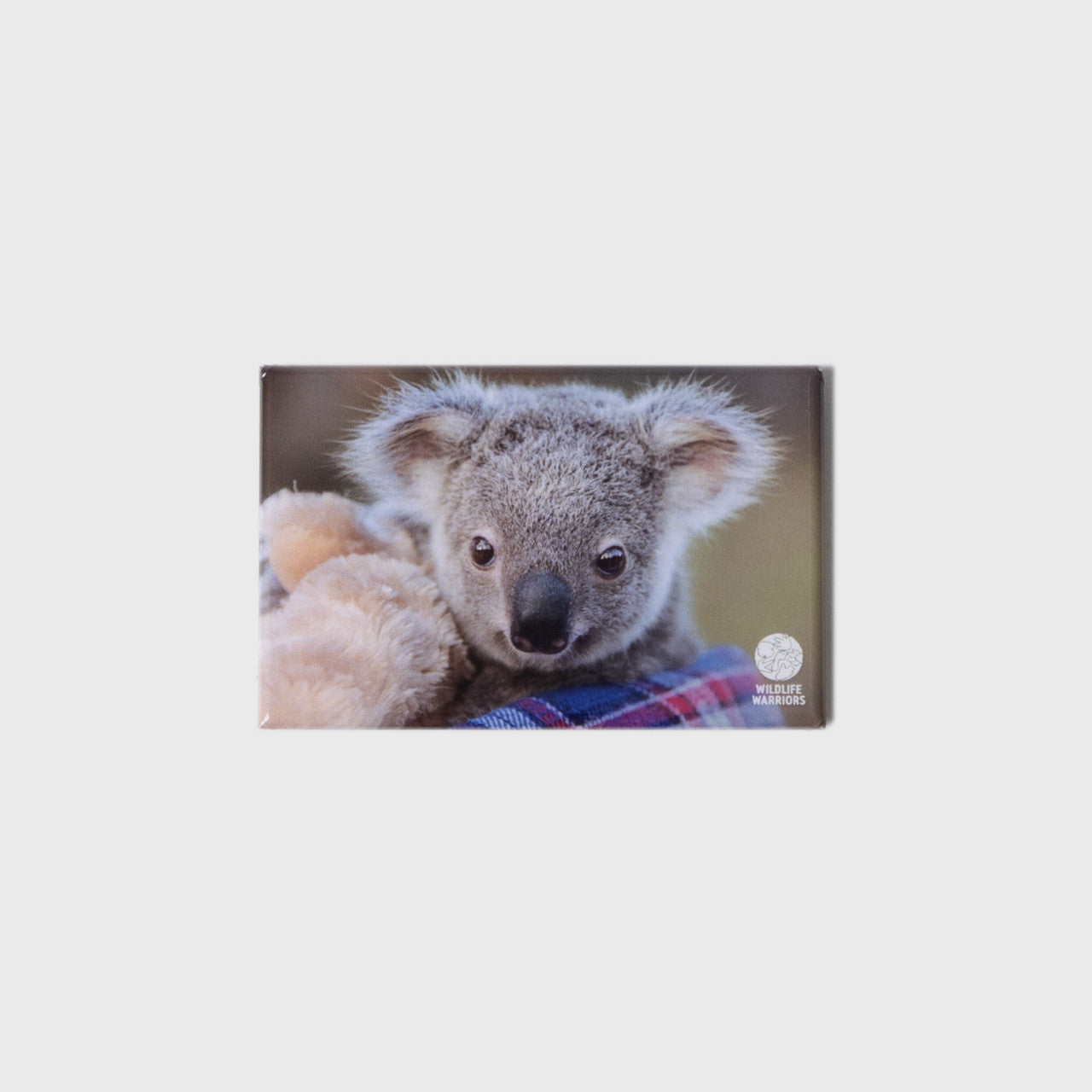 Koala Joey Wildife Warriors Small Landscape Magnet