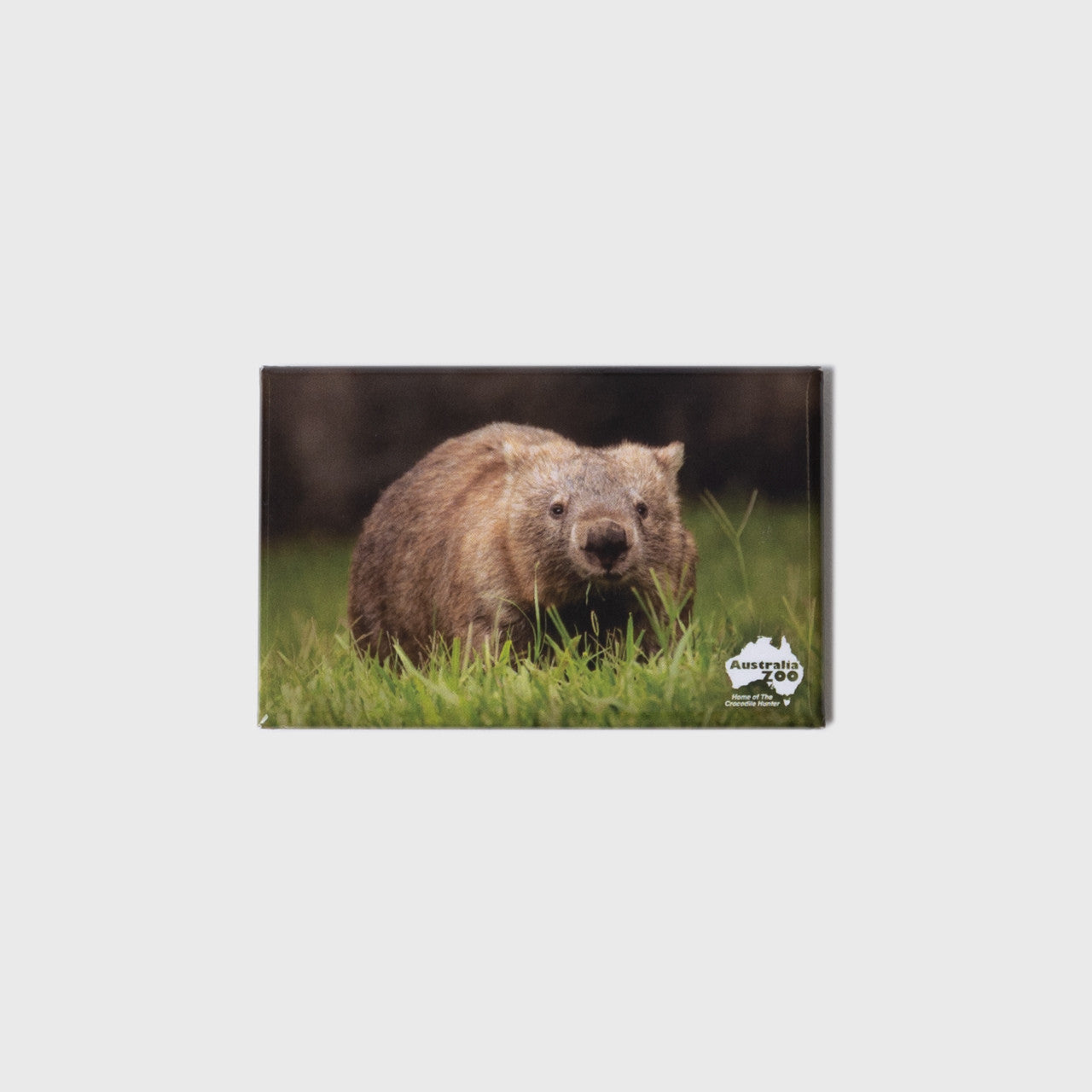 Wombat Small Landscape Magnet