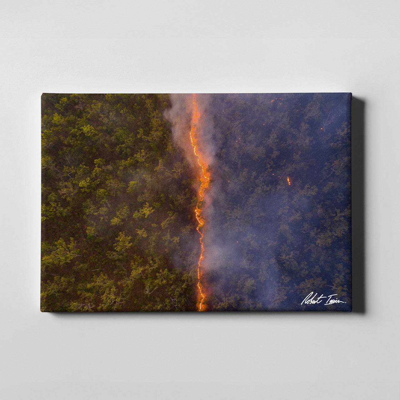 Bushfire 33GL Large Canvas