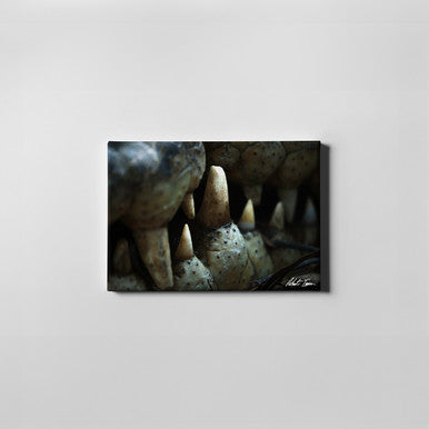 Robert Irwin Small Canvas Croc Teeth 30x45cm