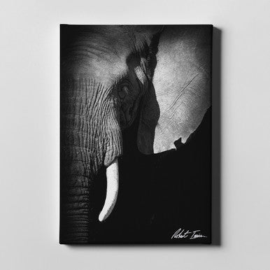 Robert Irwin Large Canvas - Elephant