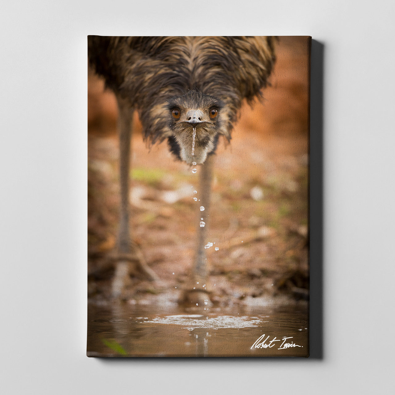 Robert Irwin Large Canvas - Emu