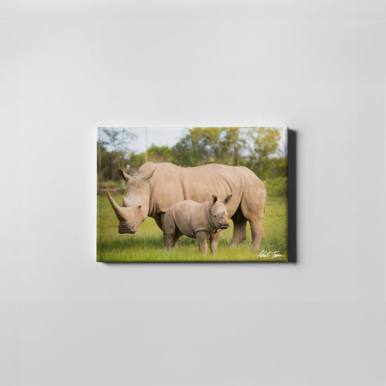Robert Irwin Small Canvas - Kingston Rhino