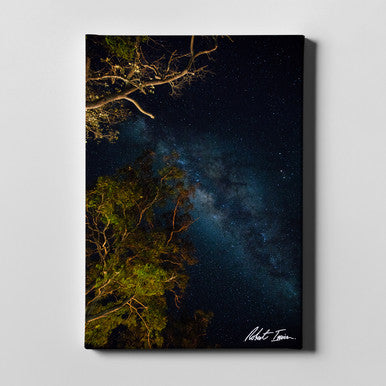 Robert Irwin Large Canvas Milky Way 60x90cm