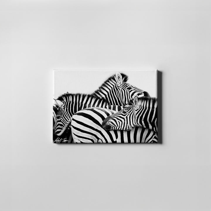 Layered Stripes 26 GL Small Canvas