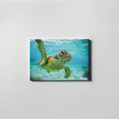 Close Encounter 42GL Small Canvas