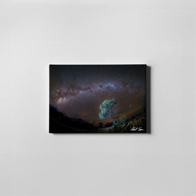 Robert Irwin Small Canvas Stars Brigalow 30x45cm